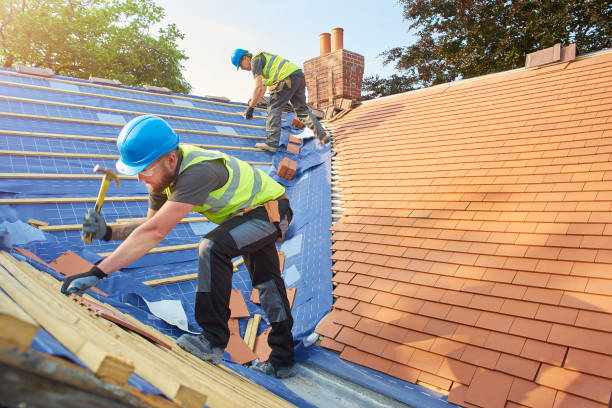 Best Gutter Installation and Repair  in Coolidge, AZ